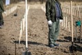 Shallow depth of field selective focus image with a man during a massive tree planting project