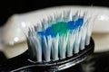 Shallow Depth of Field of a used toothbrush bristles with an out of focus blob of toothpaste in the background Royalty Free Stock Photo