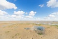 Shallow at dutch wadden sea