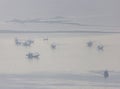 Shallow fishing boats anchor at the beach on thick fog days. Royalty Free Stock Photo