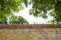 Shallow focus of broken glass bottles seen cemented to the top of a brick wall at the end of a garden.