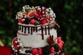 Shallow focus closeup shot of a cake with lots of raspberries and chocolate drizzle Royalty Free Stock Photo