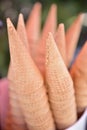 Shallow focus of heap of Biscuits cone with blurred background Royalty Free Stock Photo