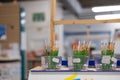 Shallow focus hobbyist paintbrushes seen within a general and hobby store.