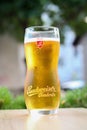 Shallow focus of ice cold beer Budweiser in cafe