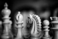 Shallow focus image of wooden Knight chess piece seen in monochrome.