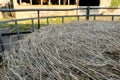 Shallow focus of a large, circular bale of hay on a dairy farm. Royalty Free Stock Photo