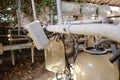 Shallow focus of a milking parlour flow control box and panel, seen near milk collection flasks. Royalty Free Stock Photo