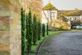 Shallow focus of ornate conifers seen aligned near a large private driveway. Royalty Free Stock Photo