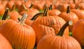 Shallow focus of pumpkins gathered together on the ground