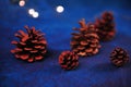 Shallow focus shot of five pinecones against a blue background with a slight