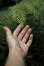 Shallow focus shot of a hand approaching a vibrant plant