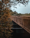 Shallow focus shot of the Moerputten Bridge railing in autu Royalty Free Stock Photo