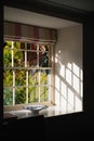 Shallow focus on a traditional sash window with grilles. Bright sunlight is shining through the glass