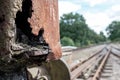 Shallow focus view of an abandoned British goods train in an advanced state of decay. Royalty Free Stock Photo