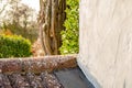 Shallow focus view of a rear garden showing shrubs and a recently cut conifer tree. Royalty Free Stock Photo