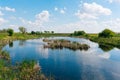 Shallow freshwater lake