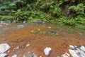 Shallow Hot Spring Pool