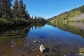 Shallow Mammoth Lake among pine forests