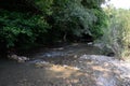 shallow mountain river, the bottom of a mountain river of stones and gravel