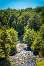Shallow mountain stream flowing over rocks amid lush greenary of the banks Royalty Free Stock Photo