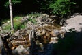 Shallow mountain stream of Sutov creek, Terchova region, northern Slovakia. Some tree trunks fallen across the water flow.