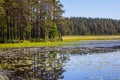 Shallow and overgrown lake