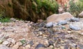 Shallow quiet stream flows in the gorge Wadi Al Ghuwayr or An Nakhil and the wadi Al Dathneh near Amman in Jordan