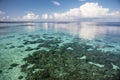 Shallow Reef in Wakatobi National Park Royalty Free Stock Photo