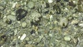 Shallow river with rocks and pebbles. Riverbed nature photos.