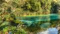 Shallow river in spring forest, source of Bistice River, near Bl Royalty Free Stock Photo