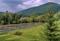 A shallow river with stones, a place for crossing salmon. Just about to go fishing a grizzly bear Royalty Free Stock Photo