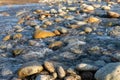 Shallow river water rapid stream Royalty Free Stock Photo