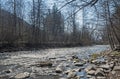 Shallow river in Zakarpattia Oblast in Ukraine