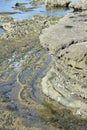 Shallow rock pool exposed during low tide