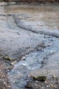 Clear stream carving through drained muddy pond Royalty Free Stock Photo