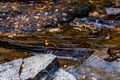 Shallow stream flowing through rocks and fallen colorful autumn leaves Royalty Free Stock Photo