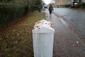 Shallow view of a newly installed Internet telecoms street cabinet in a village setting. A