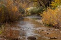 LaVerkin creek Utah, USA, with autumn foliage lining the banks Royalty Free Stock Photo