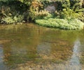 Shallow water at the millpond