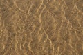 Shallow water ripples on sand - sunlight play - golden brown design - natural background - Texture Royalty Free Stock Photo