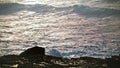 Shallow waves splashing rocks in morning closeup. Shimmering water reflecting