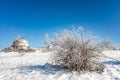 Shamakhi Astrological Observatory in winter time Royalty Free Stock Photo