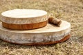 Shamanic tambourine. Shamanic drum. shaman tambourine lies on the grass