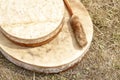 Shamanic tambourine. Shamanic drum. shaman tambourine lies on the grass