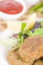 Shami Kebab Royalty Free Stock Photo