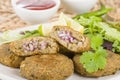 Shami Kebab Royalty Free Stock Photo