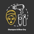 Shampoo and blow dry chalk concept icon. Hair care and treatment products. Hairstyling and hairdo idea. Hairdresser