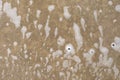 Shampoo foam on concrete floor. The texture of the wet floor covering in the yard. Bubbles and foam streaks after washing, Royalty Free Stock Photo