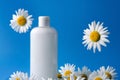 Shampoo, shower gel, white liquid soap with natural chamomile flowers in a transparent bottle on a blue background Royalty Free Stock Photo